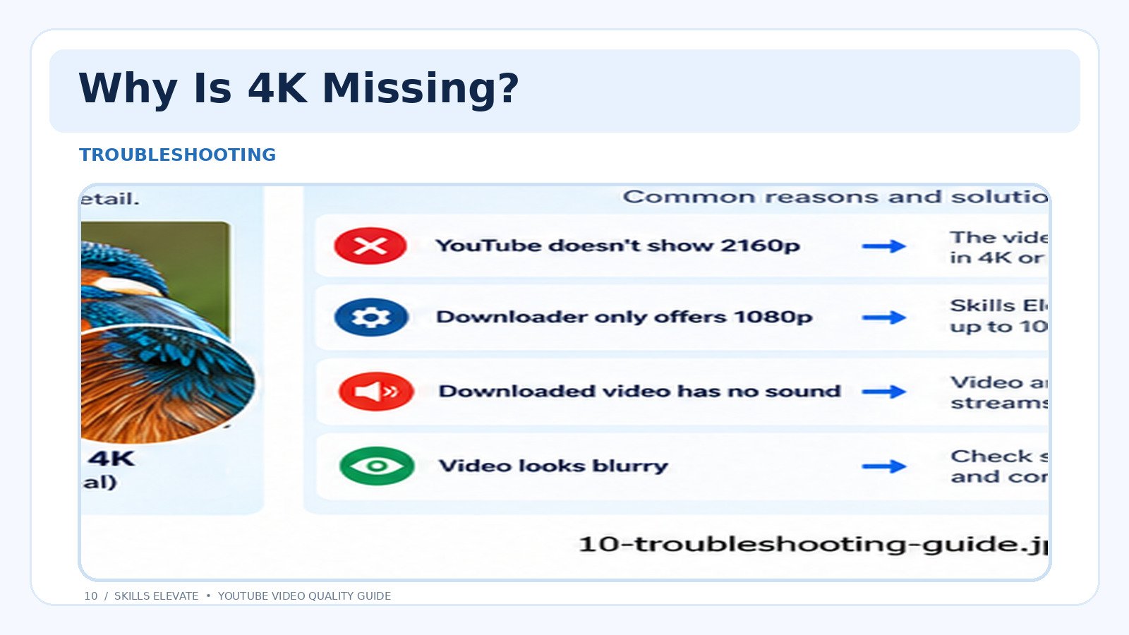 Troubleshooting missing 4K download options and video quality problems